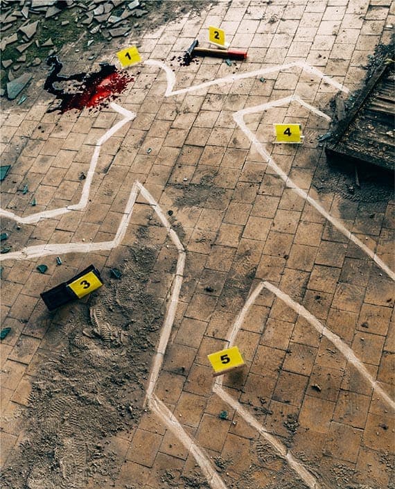 Ermittelt in diesem spannenden Kriminalfall
